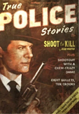 True Police Stories icon